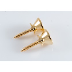 Strap Pin EP-B2-ฺGG